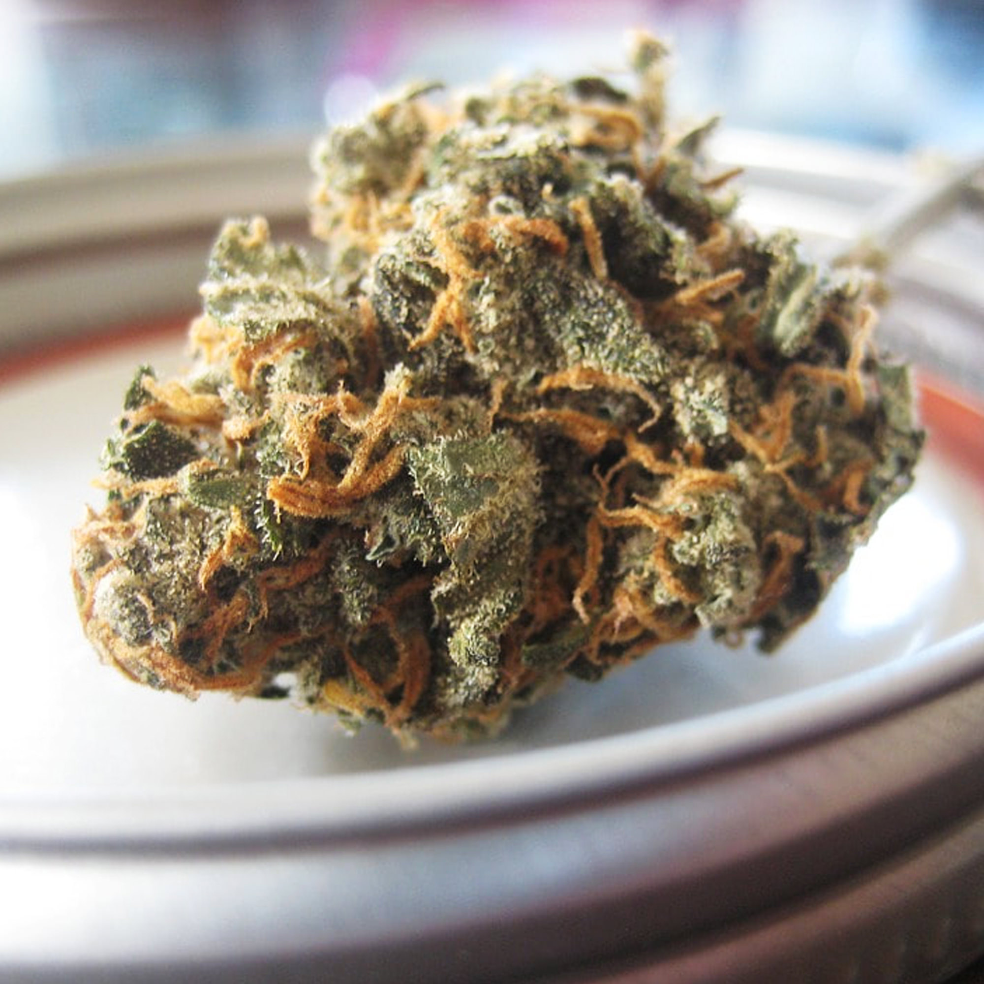 7 Surprising Benefits of CBD Oil