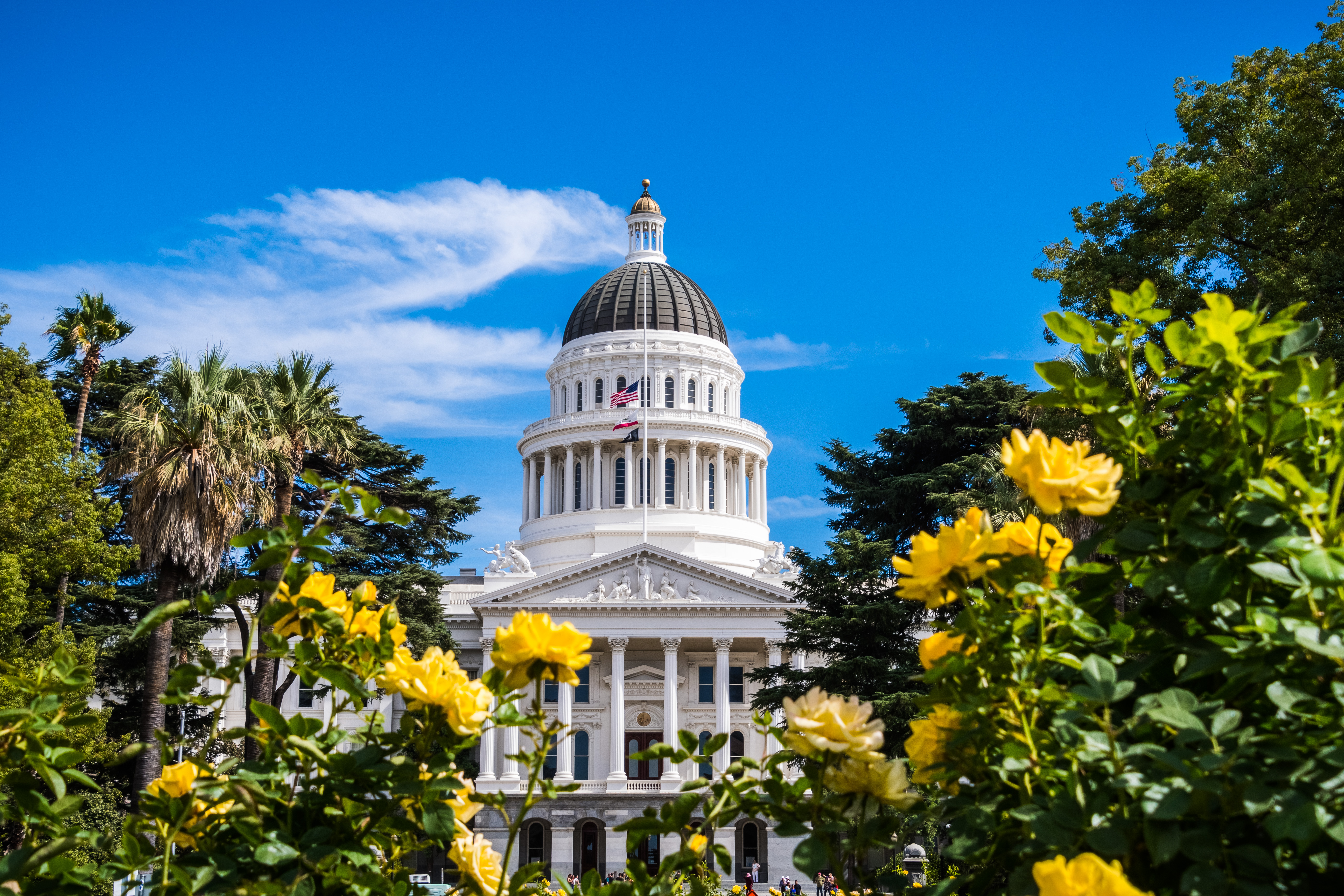 Famous Youtube Channel takes on Sacramento, California