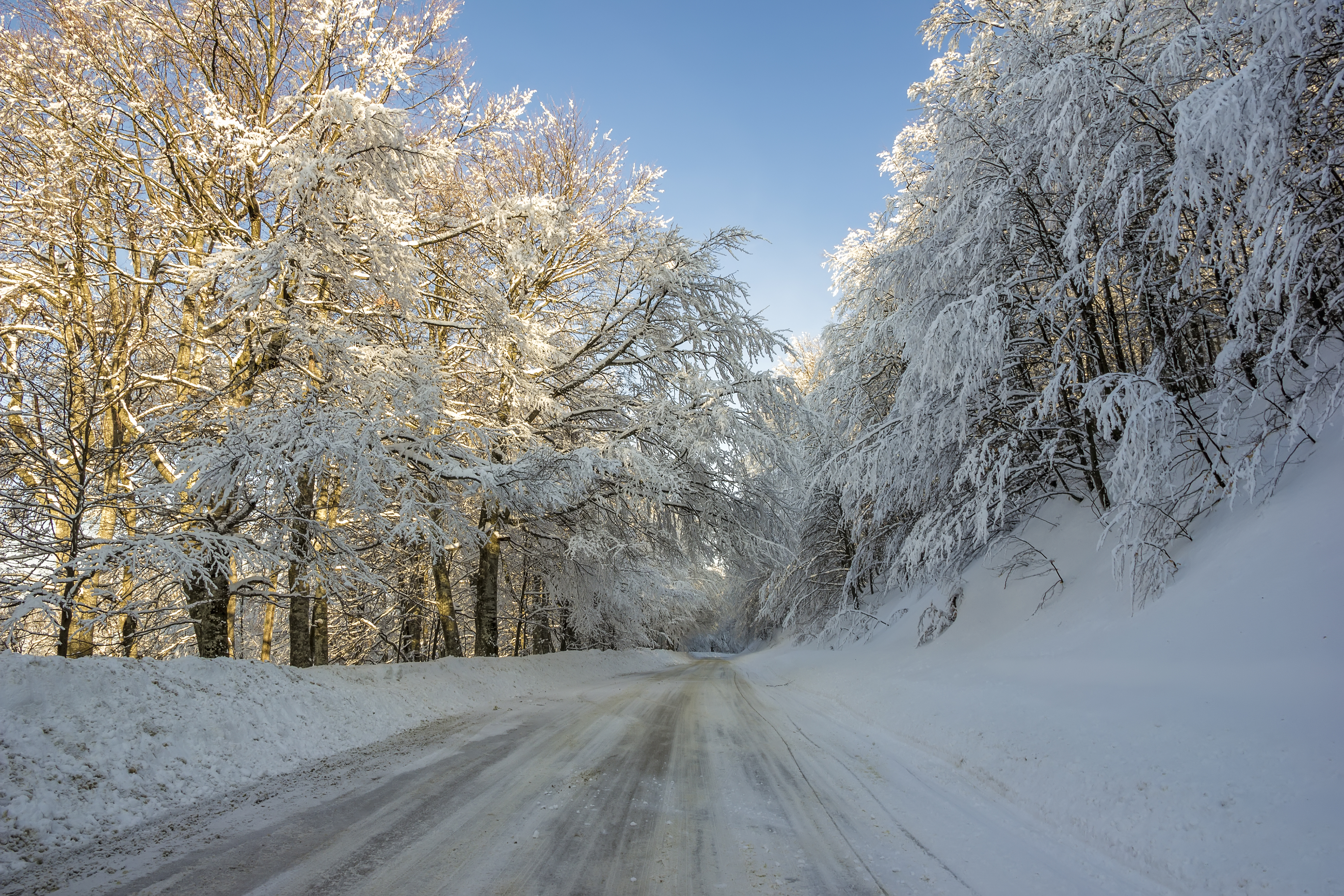 LabCanna's Tips for Staying Well in the Winter
