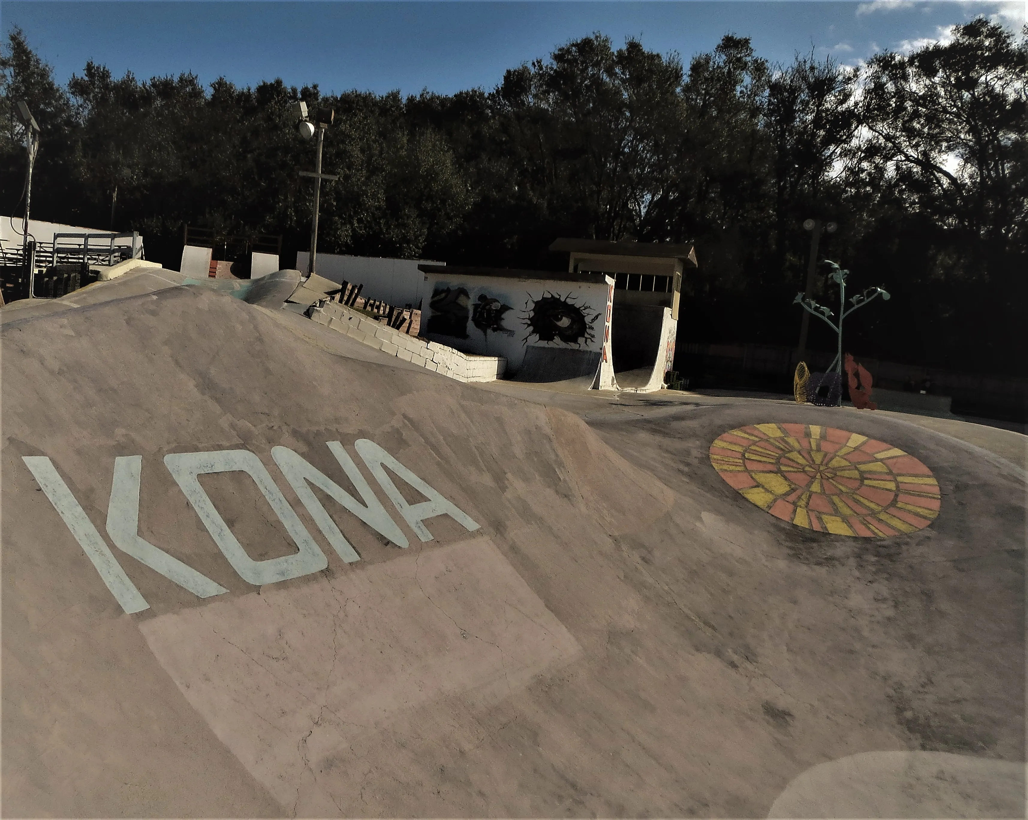 Now an Olympic sport, can the skateboarding industry hold on to its growing popularity?