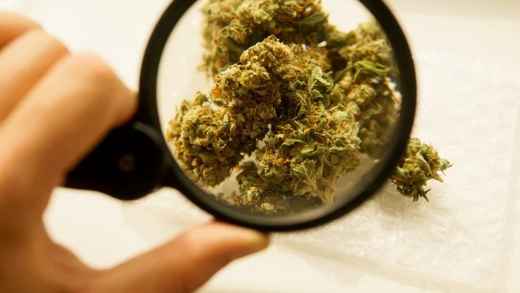 What is Delta-8 THC and Is It Legal?