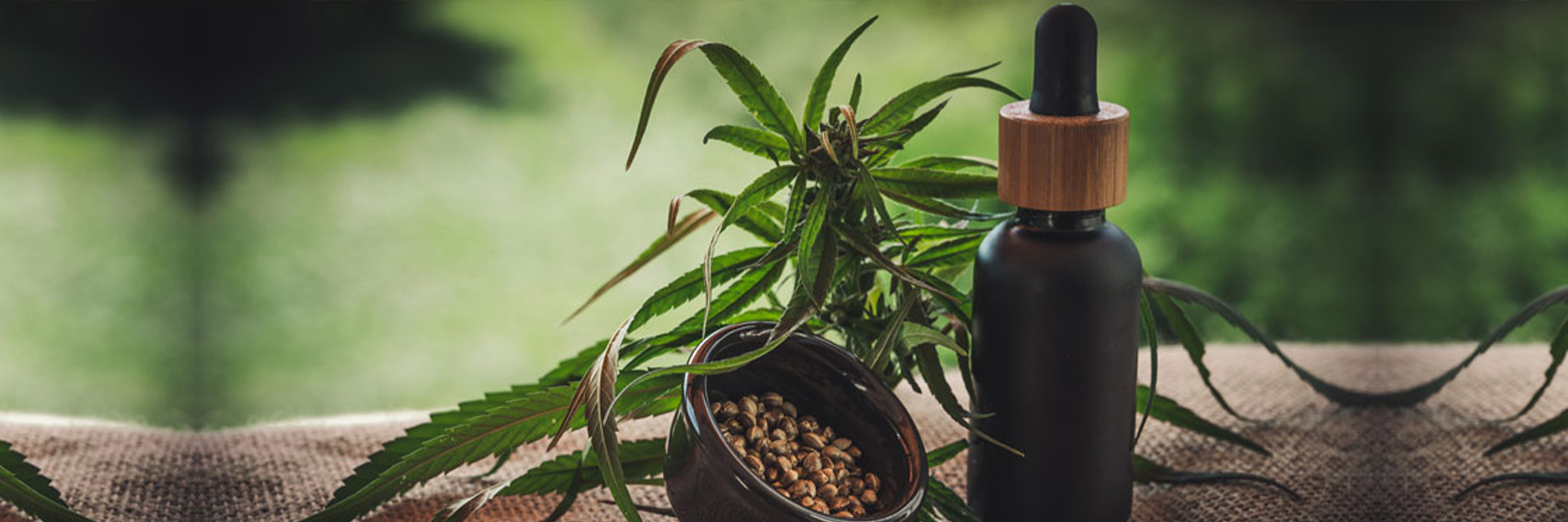 Younger Adults More Likely To Use Cannabis To Manage Chronic Pain