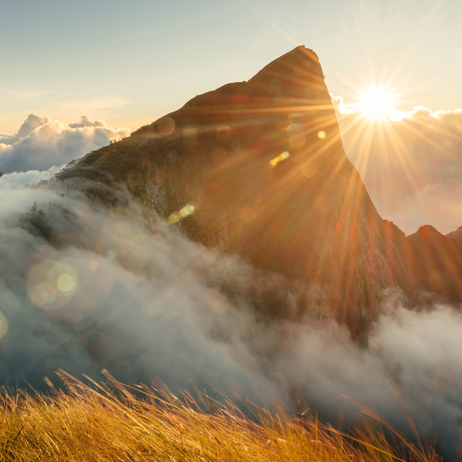 Diamond Mountain Financial