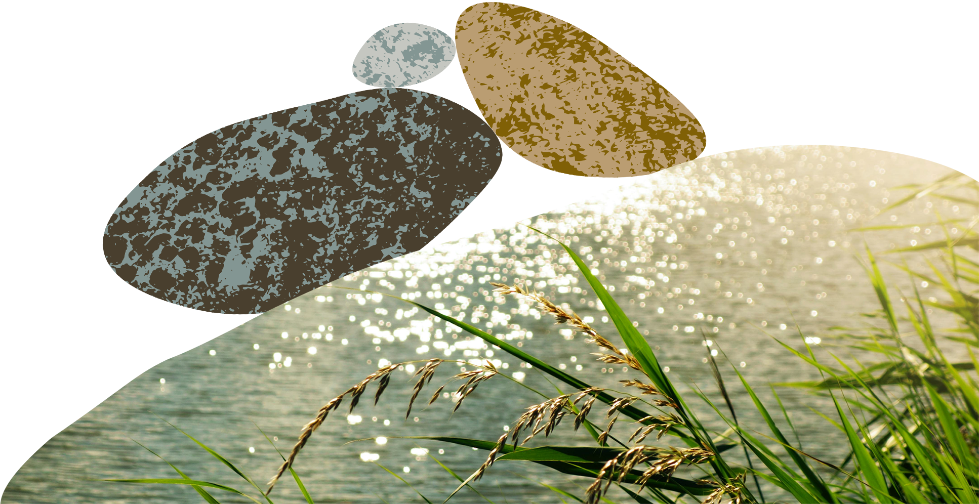 We Are the Confluence - A movement by Wilton Rancheria