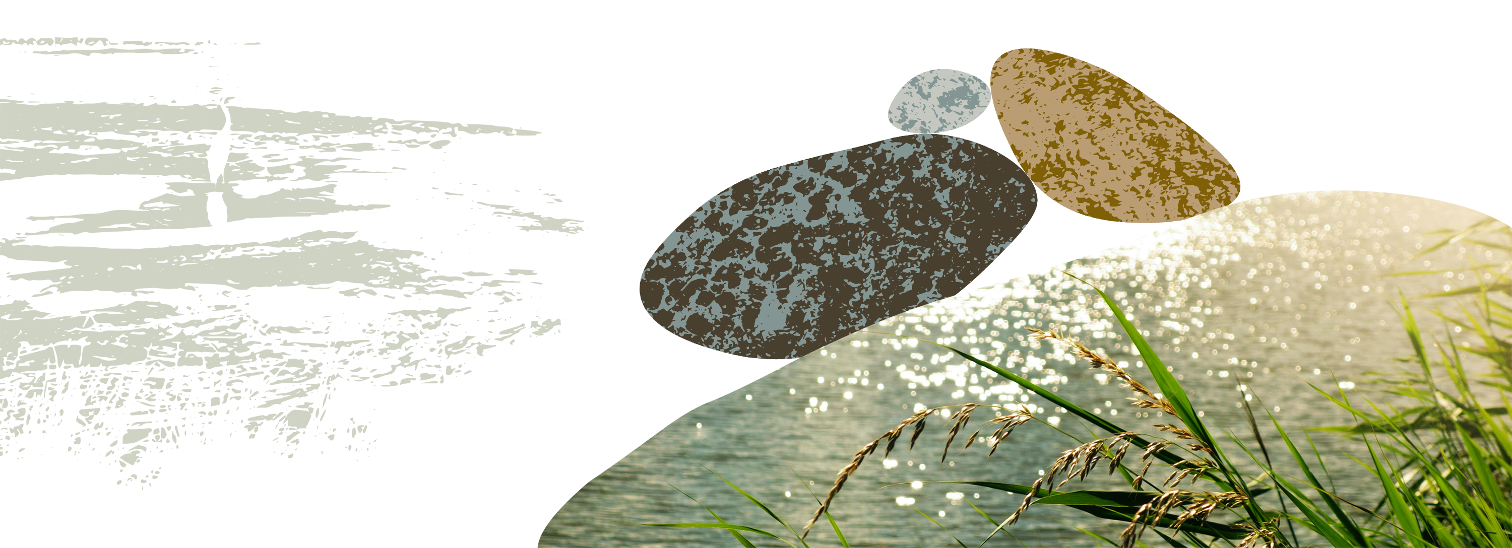We Are the Confluence - A movement by Wilton Rancheria